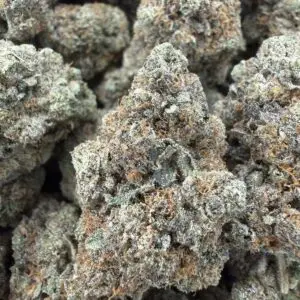 🟣 Easy Money • 60/40 Indica Hybrid • 26% THC