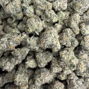 Gelato 45 SMALLS- BUY 3 GET 1 FREE