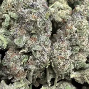 La Reina