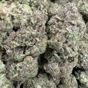 Garlic OG