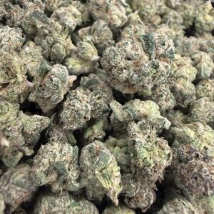 🟢 Candy Apple Jolly Rancher SMALLS — 50/50 Hybrid
