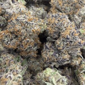 🔴 Galactic Funk• 60/40 Sativa-Dominant Hybrid • 24% THC
