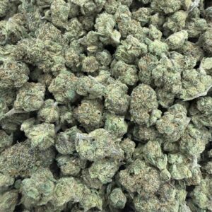 🟣 LCG Budget Indoor SMALLS — 60/40 Indica