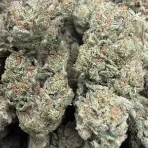 🟣 Cherry Pie — 80/20 Indica