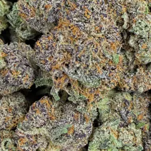 Blueberry Fuego