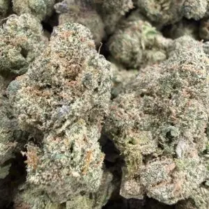 🟣 Black Truffles • 60/40 Indica • 27% THC Relaxed • Talkative • Uplifted • Social
