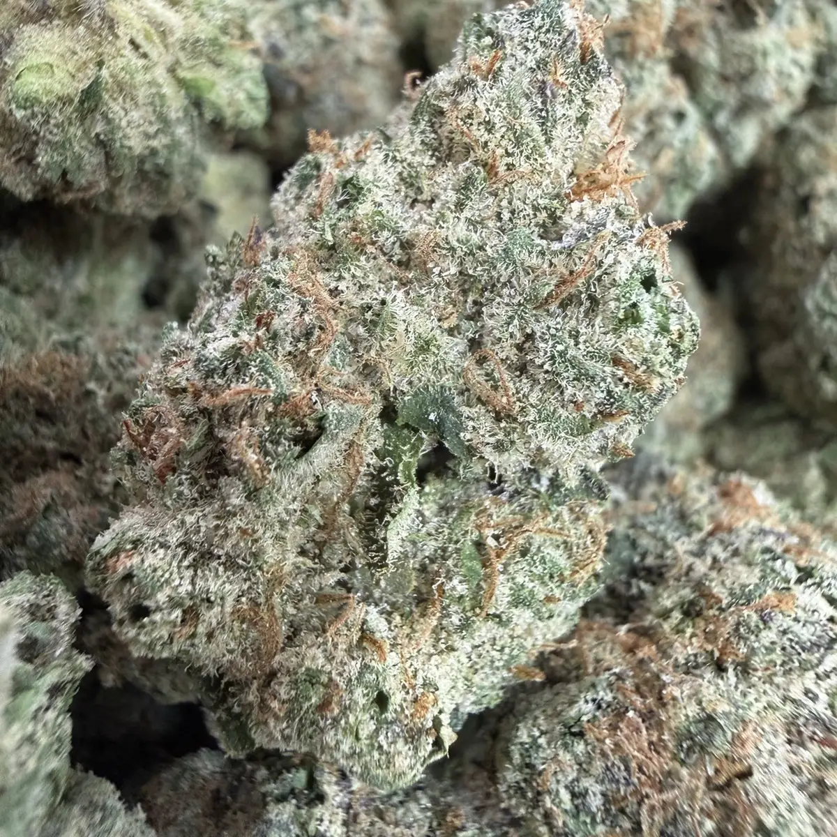 π£ Gumbo β’ 65/35 Indica β’ 26% THC Relaxed β’ Sleepy β’ Tingly β’ Uplifted β’ Creative