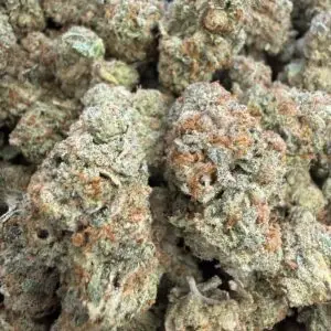 🟢 Lobster Butter • 50/50 Hybrid • 28% THC Energetic • Talkative • Creative • Euphoric • Happy