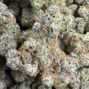 🟣 Crunch Berry • 70/30 Indica Hybrid • ~25% THC