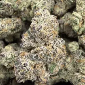 🟣 Obama Runtz • 70/30 Indica Hybrid • ~28% THC