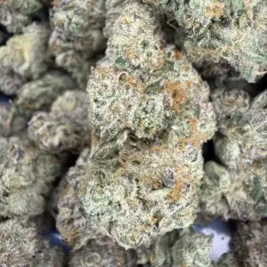 🟣 Purple Reign • 70/30 Indica Hybrid • ~27% THC