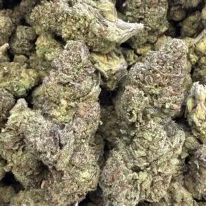 Gorilla Glue