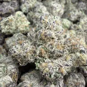 🟣 Ztopia • 60/40 Indica Hybrid • ~27% THC