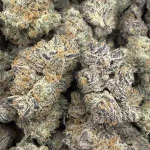 🔴 Galactic Funk • Sativa Dominant • ~24% THC — Uplifted, Energetic, Euphoric, Creative