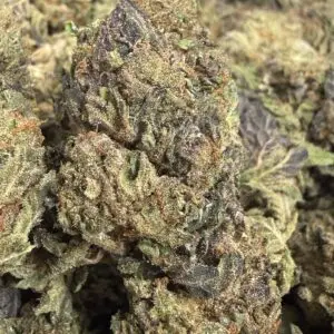 🟣 Sour Cookies • 60/40 Sativa • ~18% THC